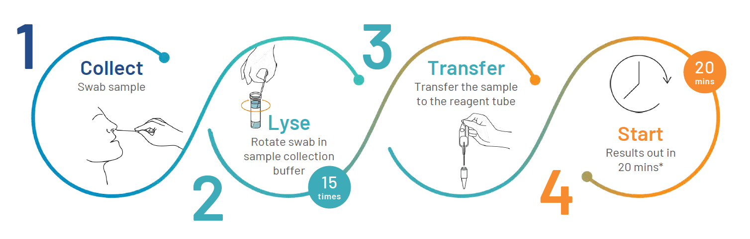 VitaPCR Procedure in 4 Easy Steps