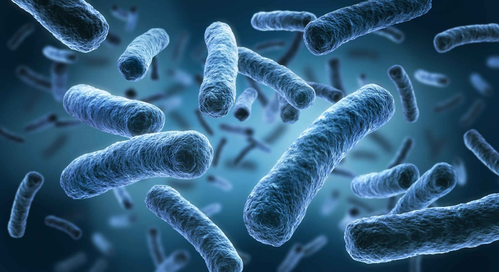 Legionella,Pneumophila,-,Medical,3d,Illustration